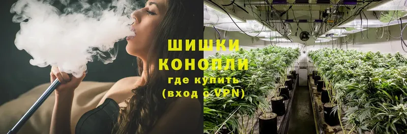 Марихуана SATIVA & INDICA  где купить наркотик  Каргополь 